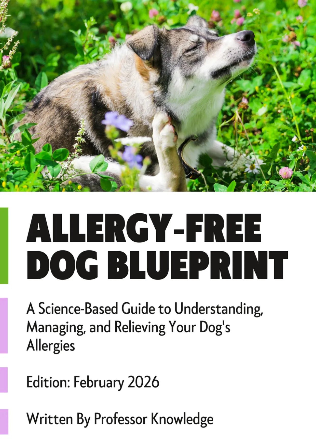 Dog Skin Allergy Treatment Guide | Allergy-Free Dog