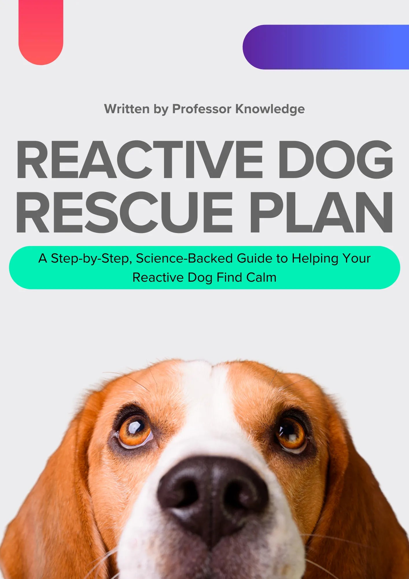 Reactive Dog Training Guide | The Reactive Dog Rescue Plan