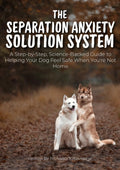 Dog Separation Anxiety Training | Solution System